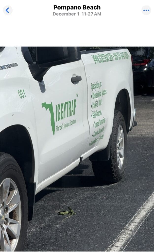 IggyTrap vehicle parked in Pompano Beach, featuring green branding and text about iguana removal services, with a small iguana on the ground nearby.